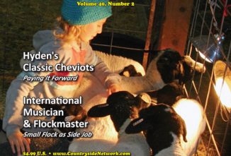 sheep! March/April 2019